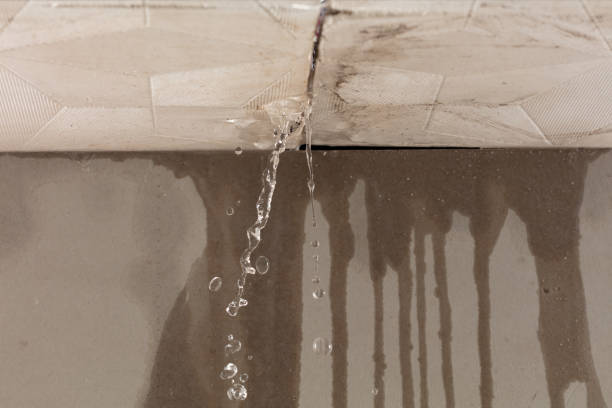 Professional Flood Damage Cleanup technician working in Brookfield, IL